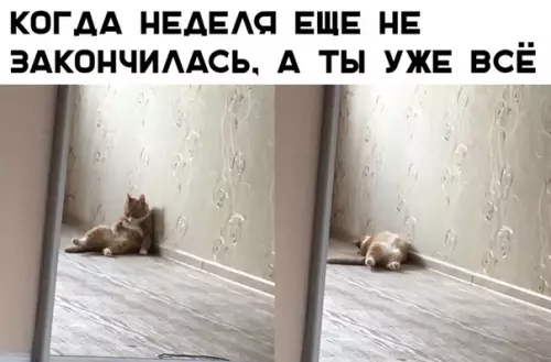 Смешная картинка №347502