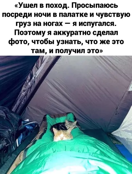Смешная картинка №546516 Неплохой кадр