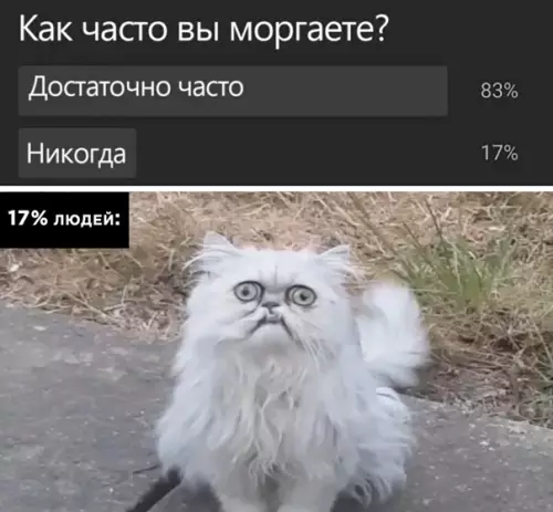 Смешная картинка №560033