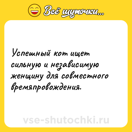 Шутка: Успешный кот ищет сильную и независимую женщину для совместного времяпровождения.