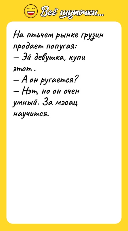 На птьчем рынке грузин продает попугая:<br/>— Эй девушка, купи этот
