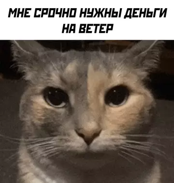 Смешная картинка №744484