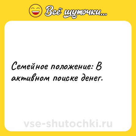 Шутка: Семейное положение: В активном поиске денег.