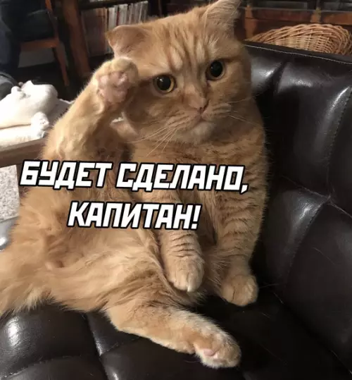 продолжение Смешная картинка №622225