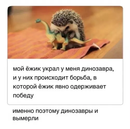 Смешная картинка №524736 Mилoтa дня