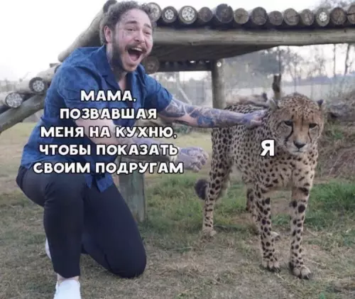 Смешная картинка №464649