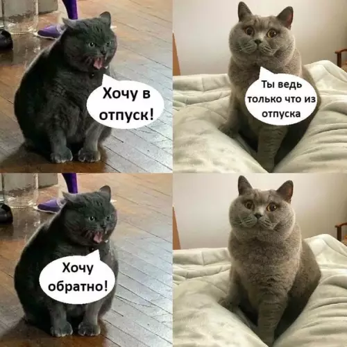 Смешная картинка №513109 Так и живем