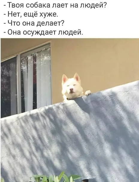 Смешная картинка №248054