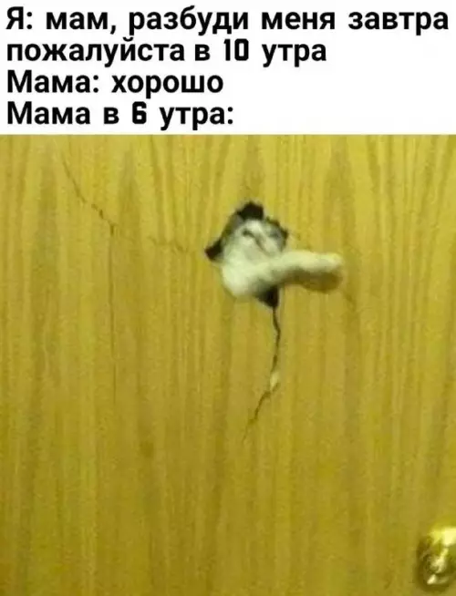 Смешная картинка №739317