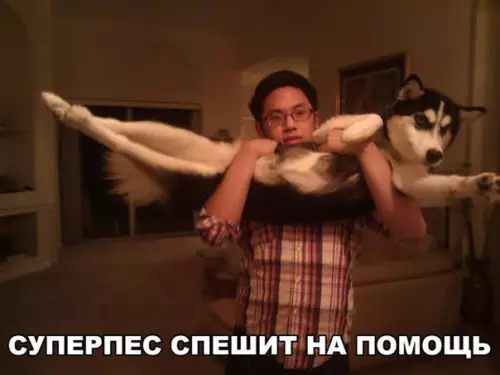 Смешная картинка №255824