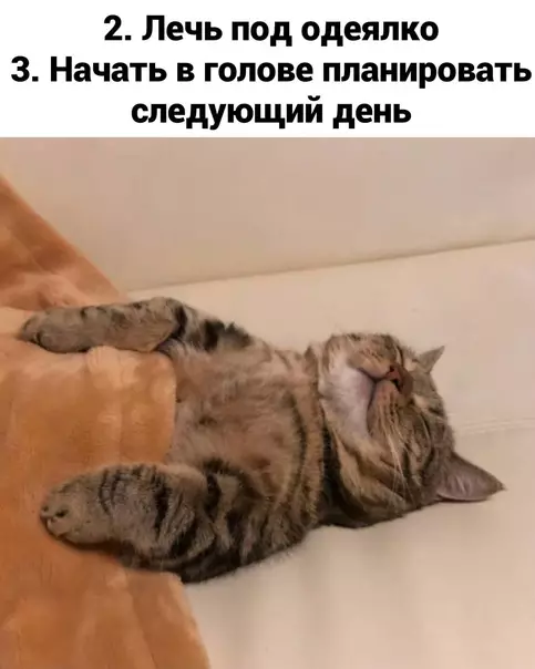 продолжение Смешная картинка №600277 Инcтpyкция для нaивныx