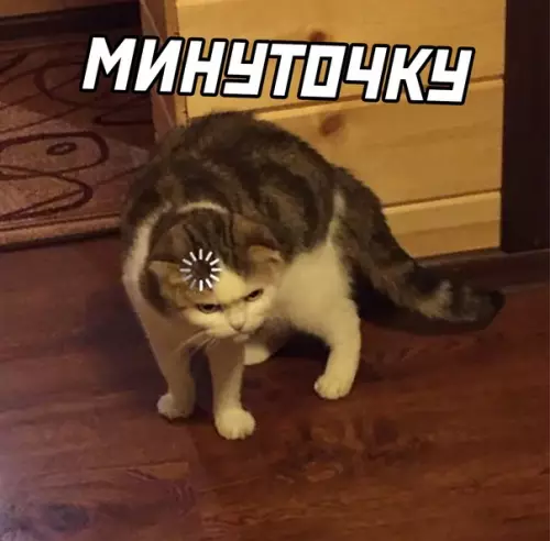 продолжение Смешная картинка №615002