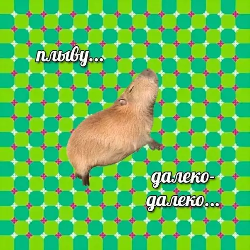 Смешная картинка №704316