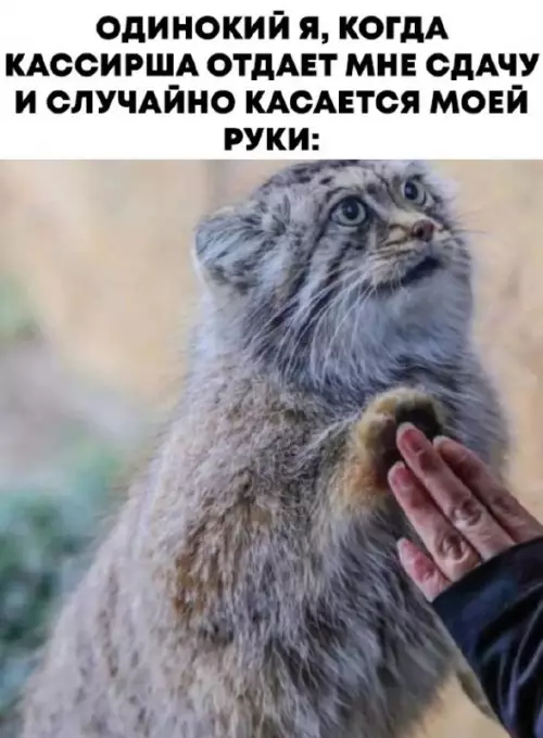 Смешная картинка №745245