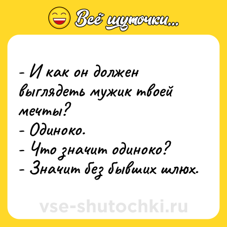 Шутка: - И как он должен выглядеть мужик твоей мечты?<br>- Одиноко.<br>- Что значит одиноко?<br>- Значит без бывших шлюх.