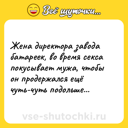 Шутка: Жена директора завода батареек, во время ceкса покусывает мужа, чтобы он продержался ещё чуть-чуть подольше...