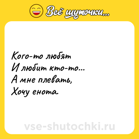 Шутка: Кого-то любят <br>И любит кто-то... <br>А мне плевать, <br>Хочу енота.