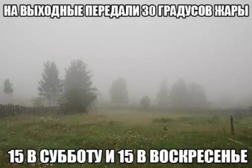 Смешная картинка №196101 Впрочем, ничего нового?