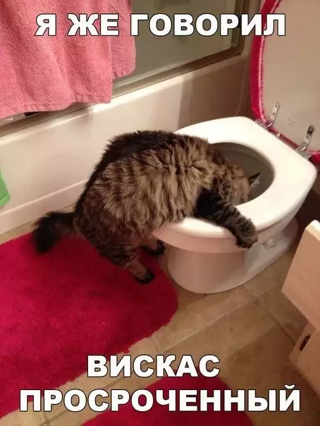 Смешная картинка №310180