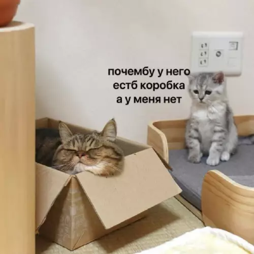 Смешная картинка №696361