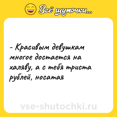 Шутка: - Красивым девушкам многое достается на халяву, а с тебя триста рублей, носатая