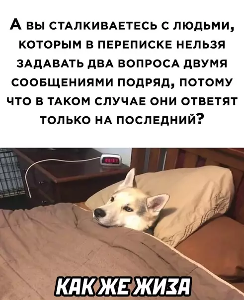 Смешная картинка №565709