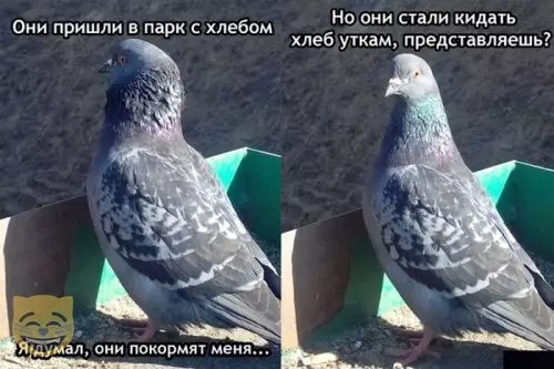 Смешная картинка №393405 #приколы #картинки #мемы ?