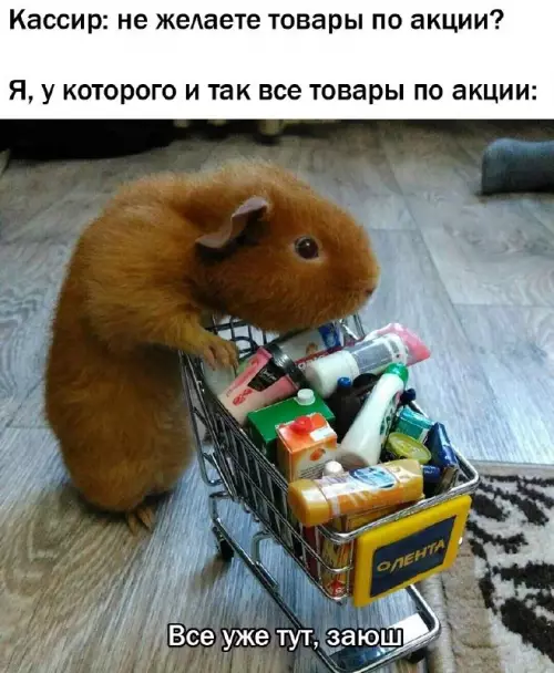 Смешная картинка №677219