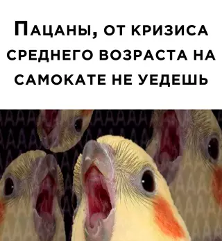Смешная картинка №649913