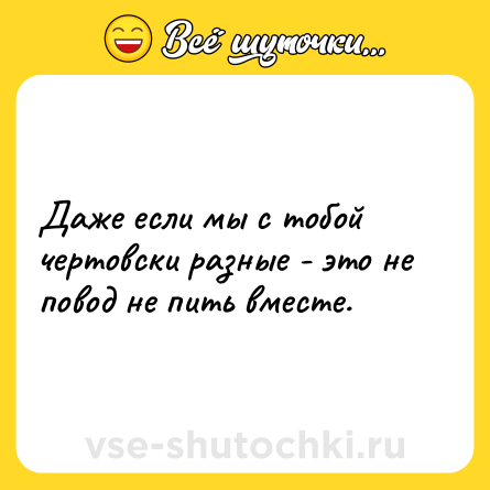Шутка: Даже если мы с тобой чертовски разные - это не повод не пить вместе.