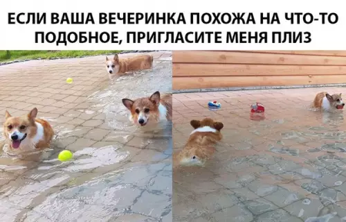 Смешная картинка №288190