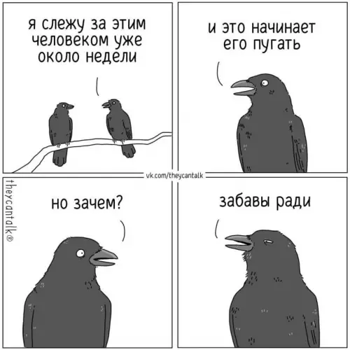 Смешная картинка №780141 животные