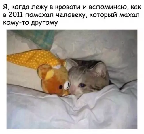 Смешная картинка №244259