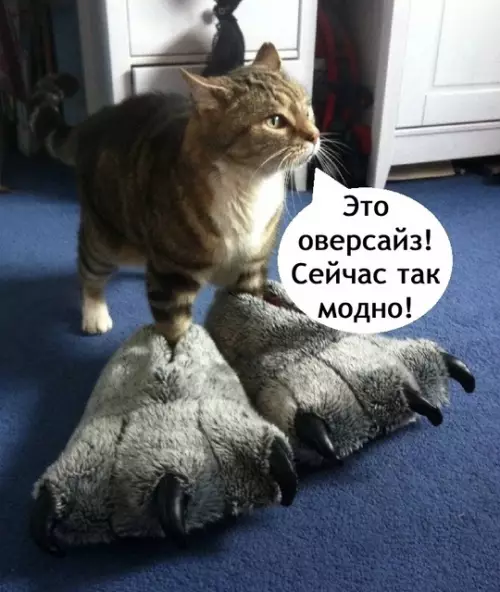 продолжение Смешная картинка №766201