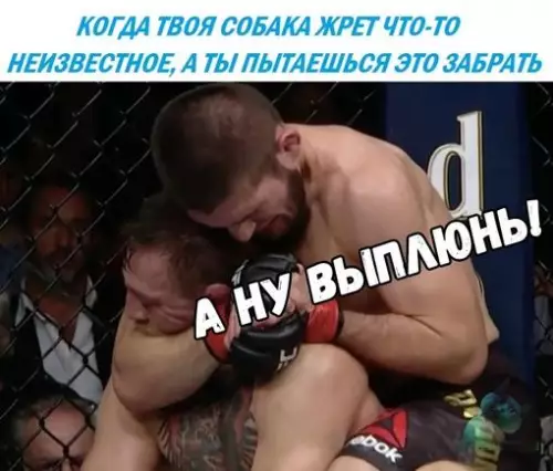 Смешная картинка №307573 хабиб и конор