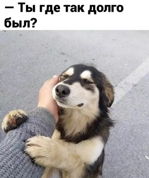 Смешная картинка №529085