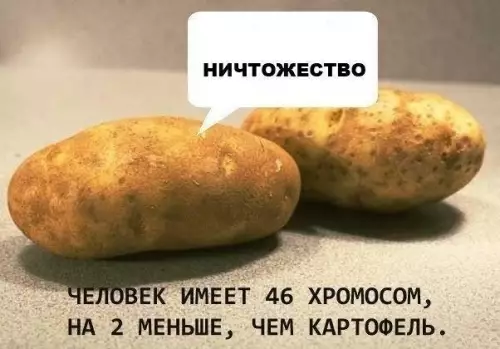 Смешная картинка №229285