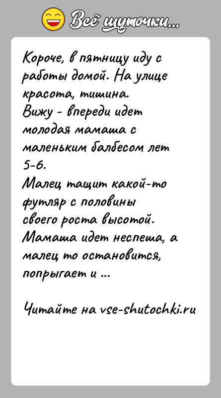 История: Короче, в пятницу иду с работы домой. На улице красота, тишина.Вижу - впереди идет молодая мамаша с маленьким балбесом лет