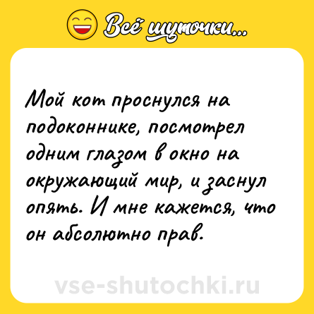 Шутка: Мой кот проснулся на подоконнике, посмотрел одним глазом в окно на окружающий мир, и заснул опять. И мне кажется, что он абсолютно прав.