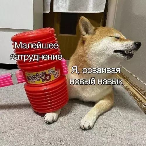 Смешная картинка №697095