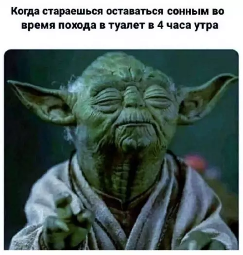Йода в 4 утра — это ты 😴 - Когда стараешься оставаться сонным во время похода в туалет в