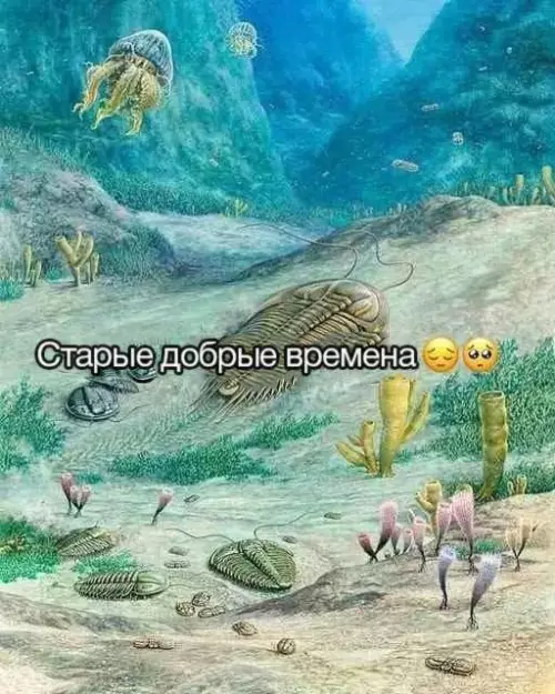 Смешная картинка №745884