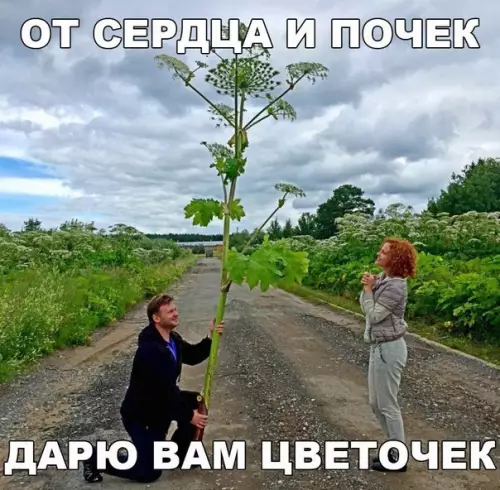 Смешная картинка №175914 цветы