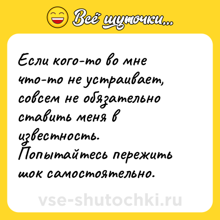 Шутка: Если кого-то во мне что-то не устраивает, совсем не обязательно ставить меня в известность. Попытайтесь пережить шок самостоятельно.