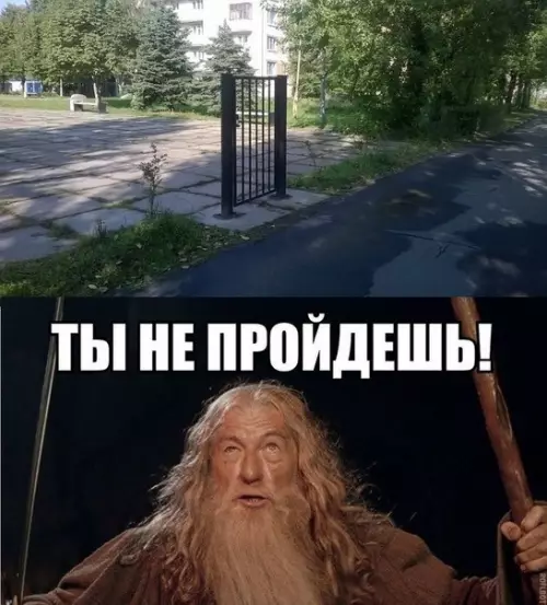 Смешная картинка №196244