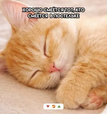 Смешная картинка №805037