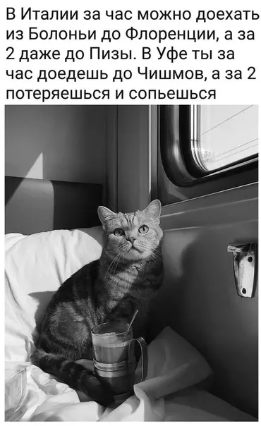Смешная картинка №451964 Как-то так...