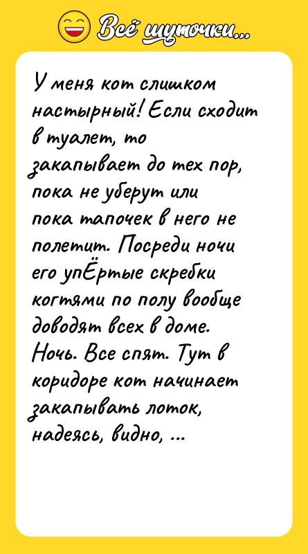 У меня кот слишком настырный! Если сходит в туалет, то