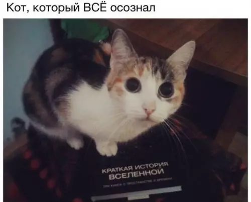 Смешная картинка №316523