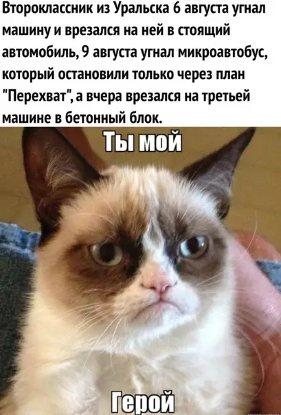 Смешная картинка №295794